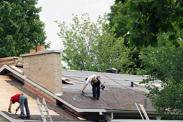 Best Roof Waterproofing Services  in Manvel, TX